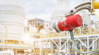 Fixed Point Gas Detectors