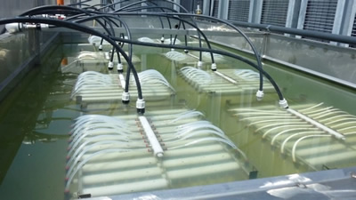 Membrane Bioreactor (MBR)